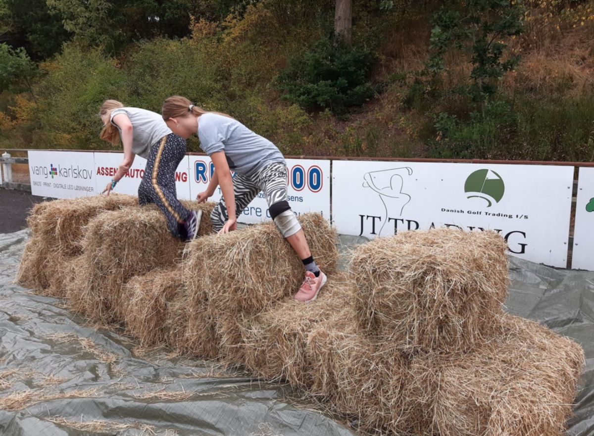 Run the Ruth - et eTwinning-projekt om kreativitet og aktivitet