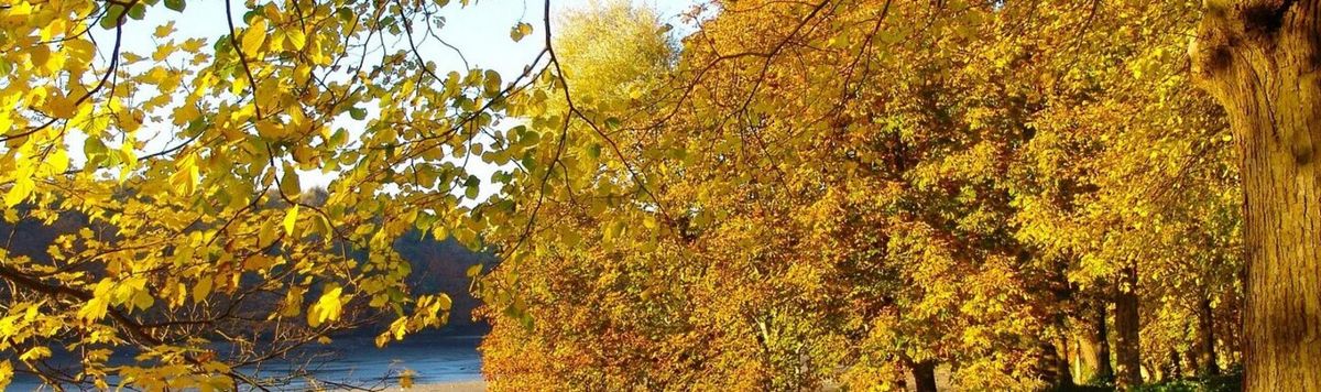 German–Nordic Neighbours: Connecting Classrooms Through eTwinning