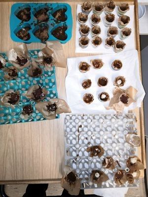 Do re mi fa so laKRIDS - så det synger i maven!