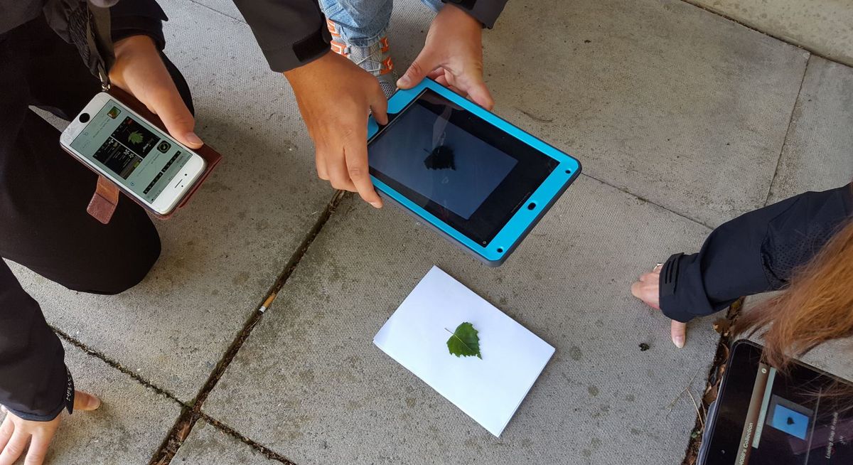 Digital Learning across Boundaries